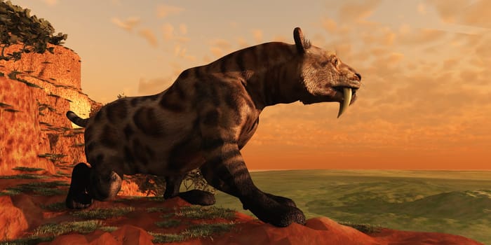 A Saber-Tooth tiger hunts for prey on a cliff overlooking a canyon.