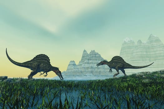 Two Spinosaurus dinosaurs sniff for scent and begin their hunt for prey.