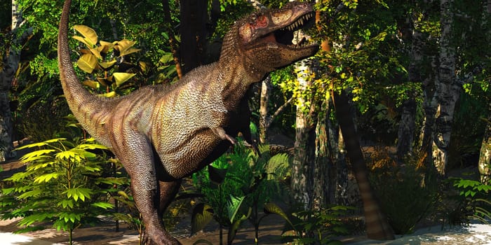 Tyrannosaurus Rex dinosaur hunts for his next meal in the jungle.