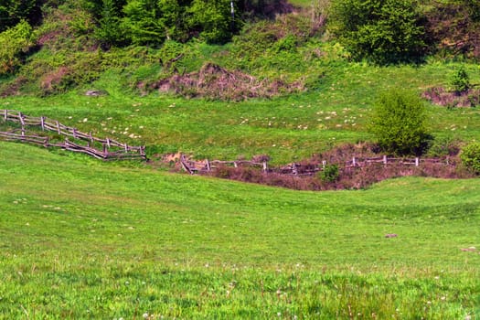 Panorama of a typical alpine meadow with wooden fence..