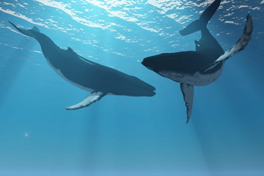 Streams of sunlight shine on two Humpback whales swimming togther in the deep ocean.