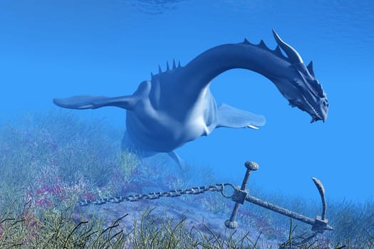 A Sea Dragon swims over an abandoned ship anchor to check it out.