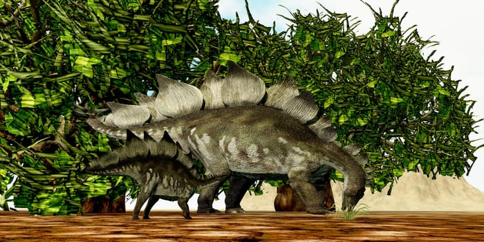A Stegosaurus hatchling watches its mother to understand what to eat.