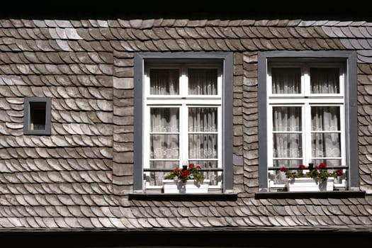 A shingle roof with two skylights and flower boxes.