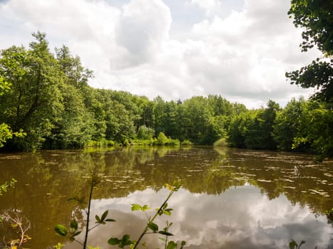 water pool outside in forest opening surface and sky clouds trees  England  UK