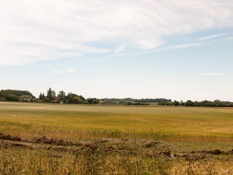 glorious farm field grass land outside summer's day  England  UK