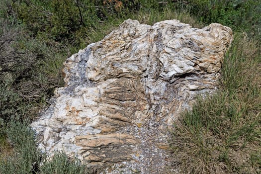 Petrified Wood in the Badlands of North Dakota