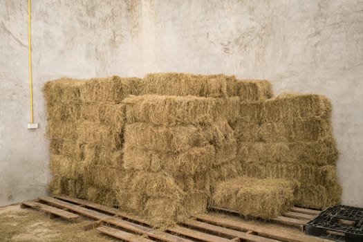 bale of hay stacking inside shed of farm