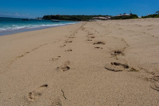 Beautiful secluded sandy beach in the Caribbean with white sand and blue sky as in paradise