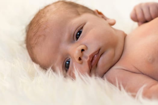 Close-up of a newborn baby lying on a fluffy white blanket