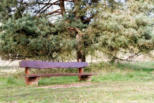 outdoor wooden bench with tree in background