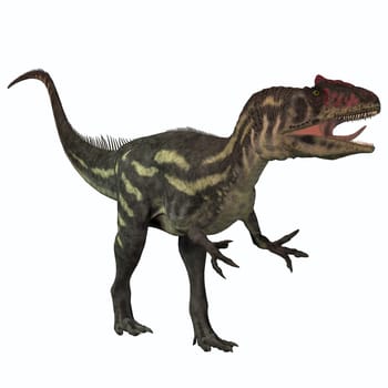 Allosaurus was a large theropod predatory dinosaur which lived in the late Jurassic period. Fossils found in North America's Morrison Formation.