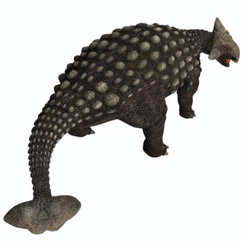 A huge armored dinosaur, Ankylosaurus was a herbivore from the Cretaceous Era of western North America.