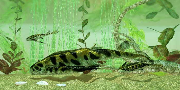 Bothriolepis was a freshwater bottom feeder found in rivers and lakes in the Devonian Period.