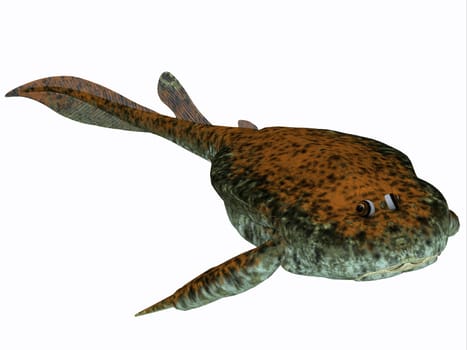Bothriolepis was a freshwater detrivore (bottom feeder) which lived in the Devonian Period.