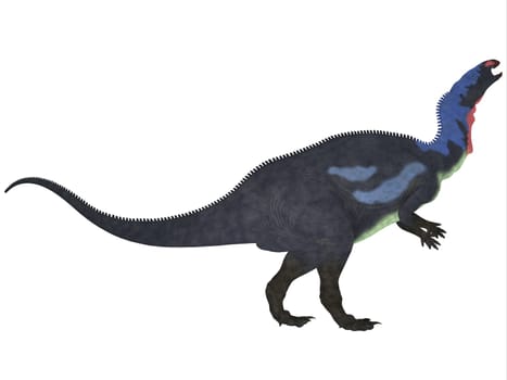 Camptosaurus is a genus of herbivorous dinosaurs from the Late Jurassic Period of western North America.