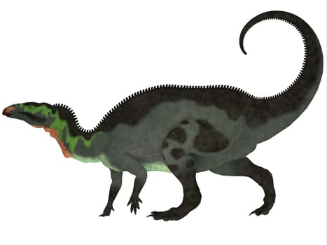 Camptosaurus is a genus of herbivorous dinosaurs from the Late Jurassic Period of western North America.