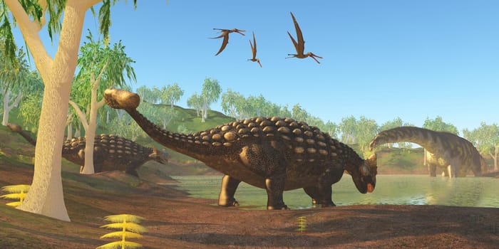 Two Ankylosaurus dinosaurs come down to a swamp to drink as an Argentinosaurus grazes on duckweed.