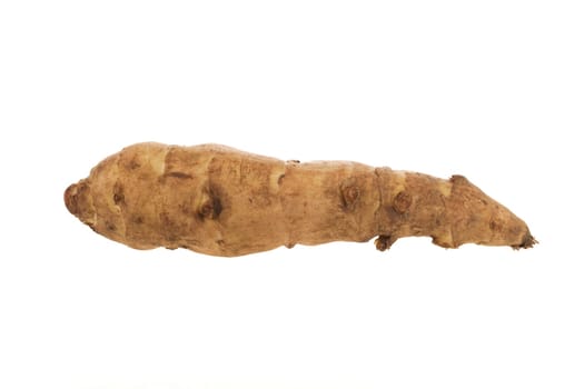 Single long jerusalem artichoke isolated on white.