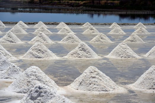 A salt field for the extraction of sea salt south-west of the city of Bangkok in Thailand in South East Asia.