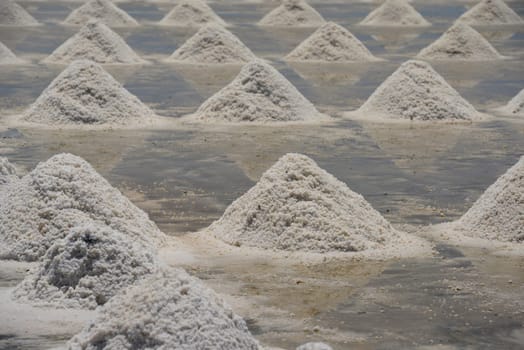 A salt field for the extraction of sea salt south-west of the city of Bangkok in Thailand in South East Asia.