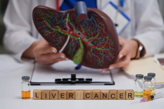 A skilled medical professional discusses liver cancer using a detailed model and samples in a clinical setting