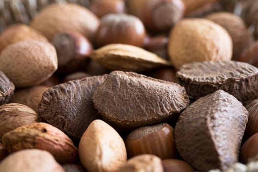 Mixed whole nuts in shell close up with Brazil nut in focus.