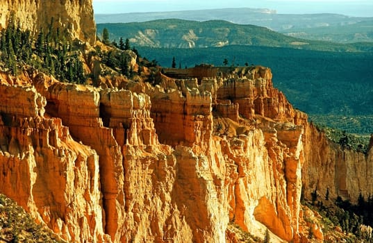Bryce Canyon with forest  in Utah