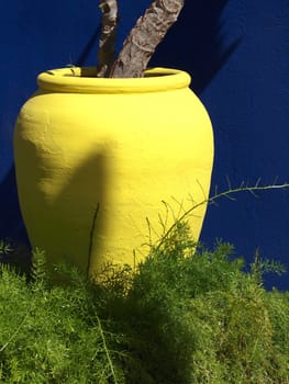 yellow clay pot in the garden