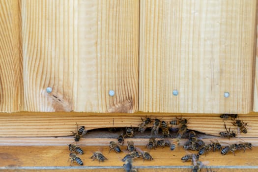 Busy bees are buzzing around a beautifully crafted wooden hive, showcasing natures vital and essential pollinators