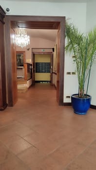 October 15 2024 Prague Czech Republic Europe Lobby plants chandelier. High quality photo