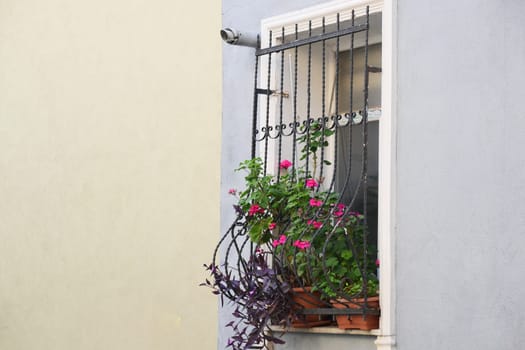 Vibrant flowers and green plants spill from a window box in a city.