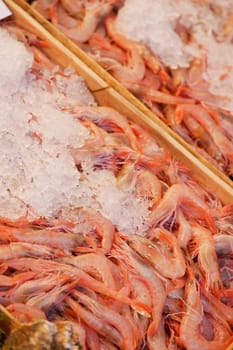 Locals browse through fresh shrimp on ice at market stand.