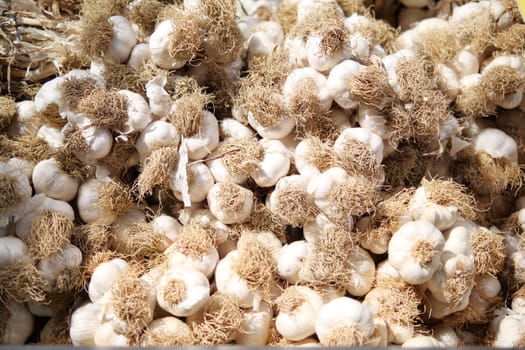 Colorful display of fresh garlic heads at a local farmers market.