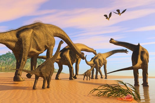 A Brachiosaurus herd walks down a wet sandy beach in search of vegetation to eat.