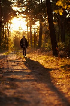Early morning shot of a young man walking through woodland