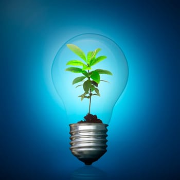 Light bulb with green plant inside. Green energy concept