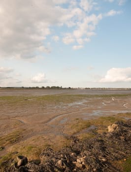 black water mudflats groove water tide out dock moored boats in distance Essex  England  UK