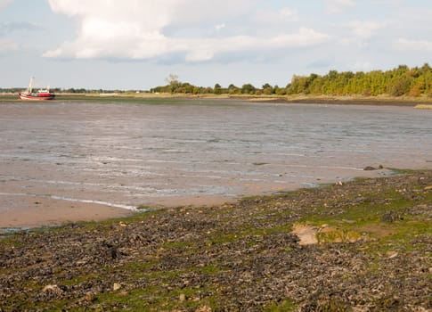 texture of mud flats with tide out black water Maldon Essex  England  UK