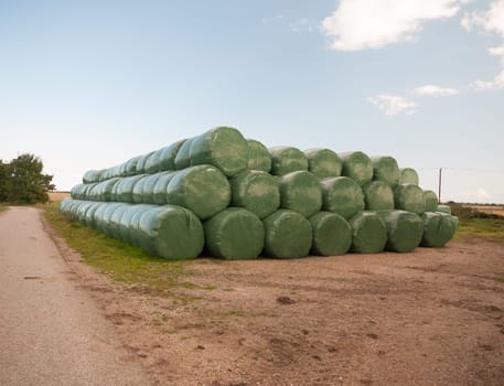 a pile of industrial green plastic bagged bales of hay wheat Essex  England  UK