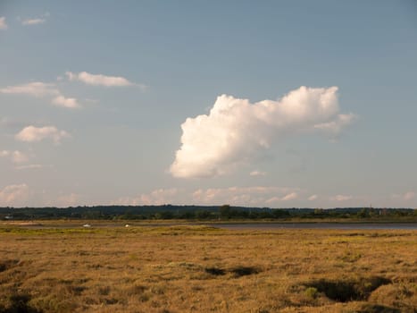 countryside scene of flat ground and a stream, with a big white cloud in the blue sky Essex  England  UK
