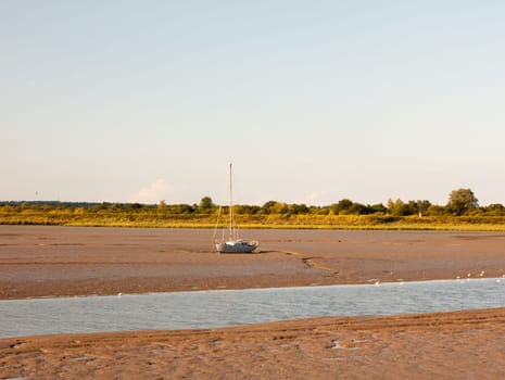 a moored little vessel boat at edge of river stream Maldon black water  Essex  England  UK