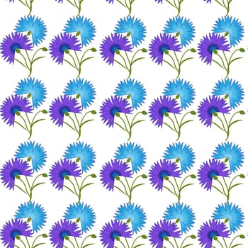 Seamless pattern with blue flower cornflower isolated on white background. Cartoon vector centaurea cyanus illustration