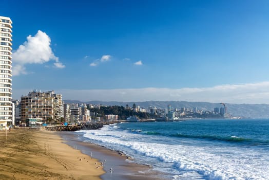 Beach with Sea Gulls in Vina del Mar, Chile