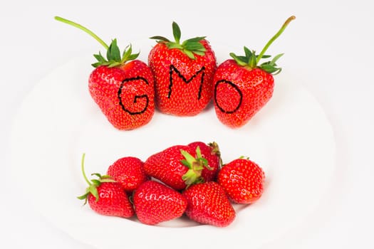 GMO huge strawberries and organic strawberries on white plate on white background.