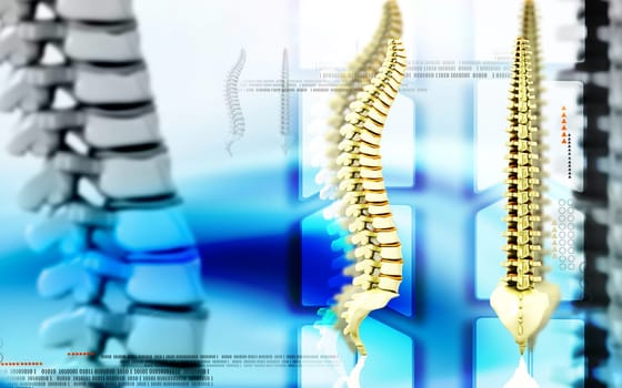 Digital illustration of back bone in colour background