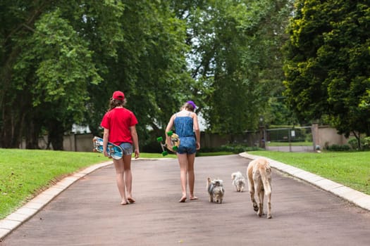 Girls skateboarding home driveway with dogs