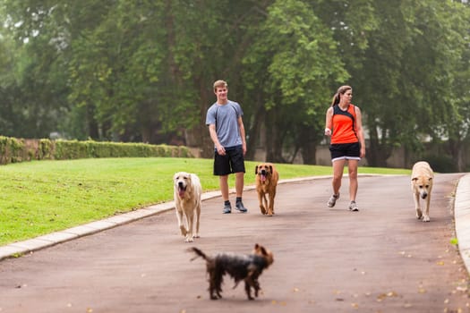 Teen boy girl warm down after fitness exercise  run on home driveway with dogs
