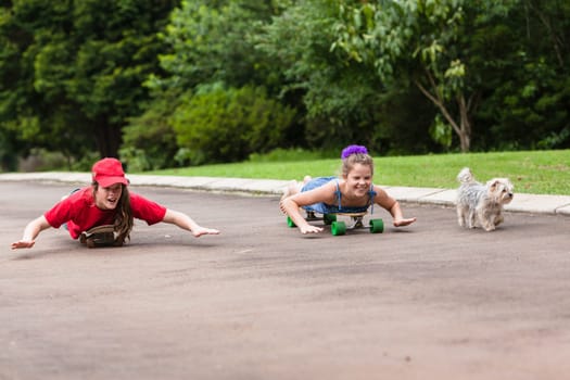 Girls skateboarding home driveway with dogs