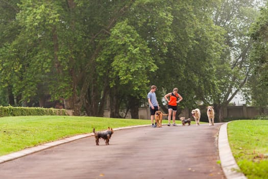 Teen boy girl warm down after fitness exercise  run on home driveway with dogs